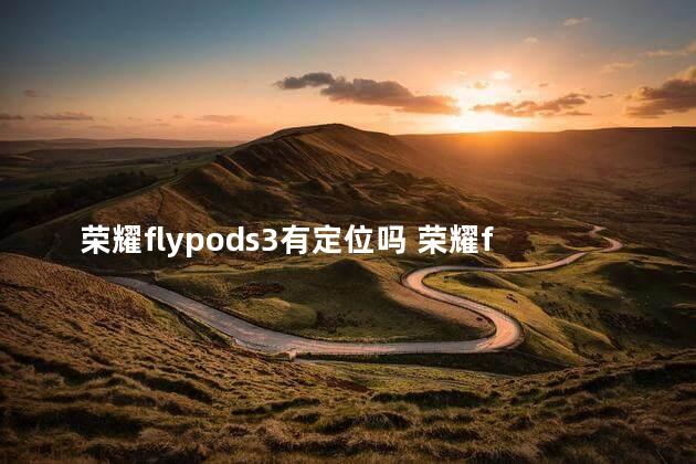 荣耀flypods3有定位吗 荣耀flypods3怎么配对